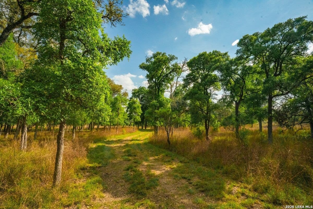 500 acres in Kendall County - photo 22