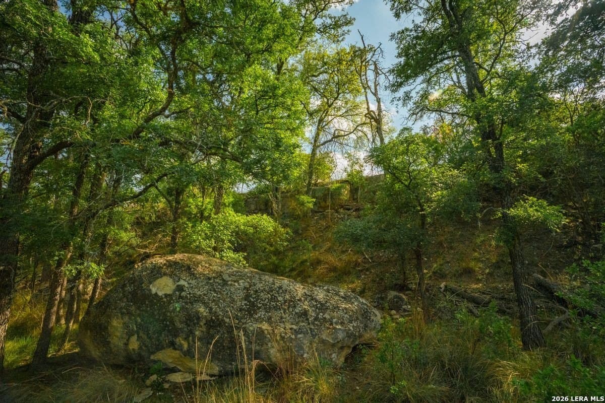 500 acres in Kendall County - photo 18