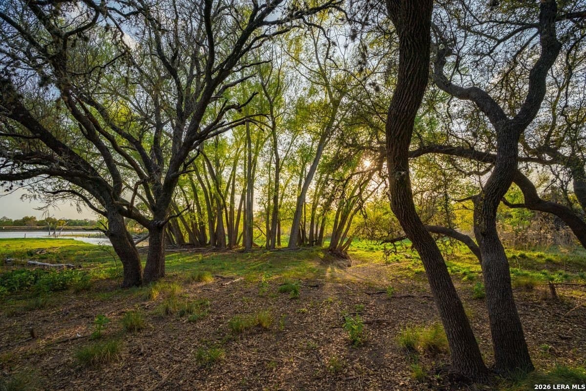 500 acres in Kendall County - photo 31