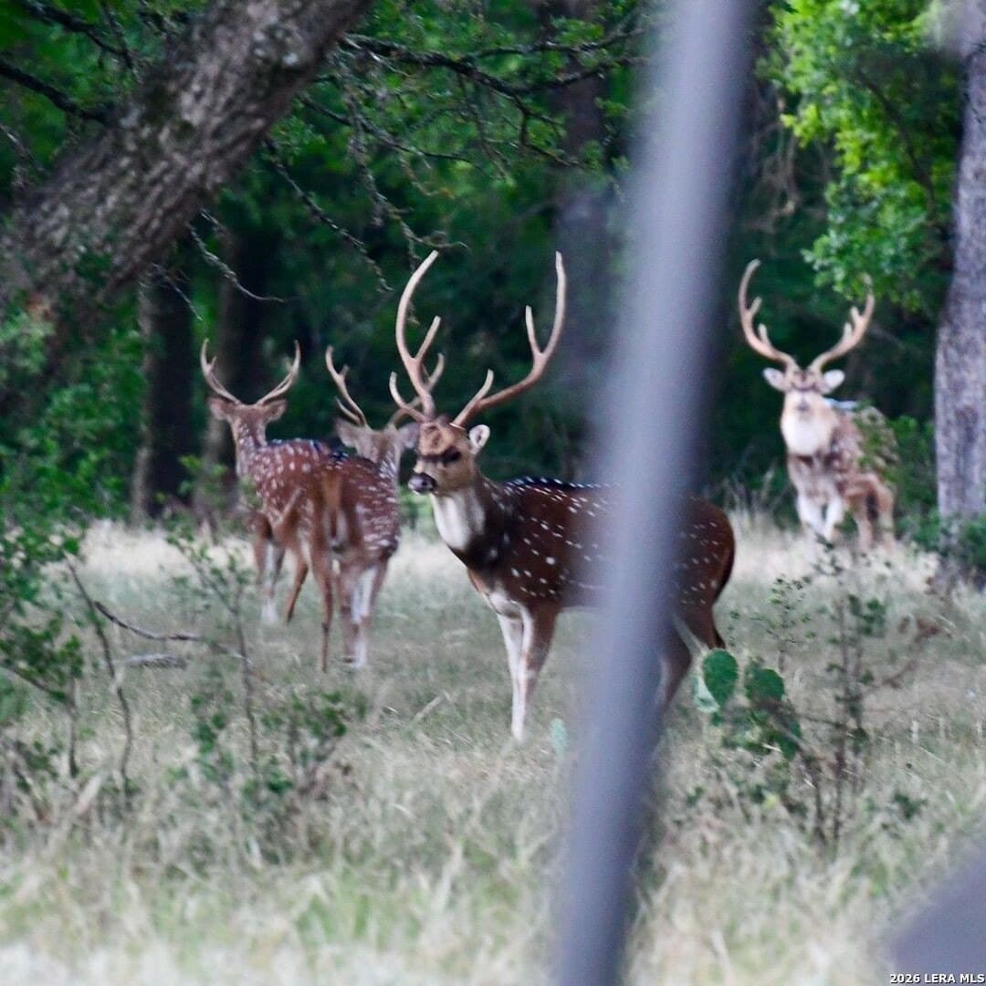 500 acres in Kendall County - photo 13