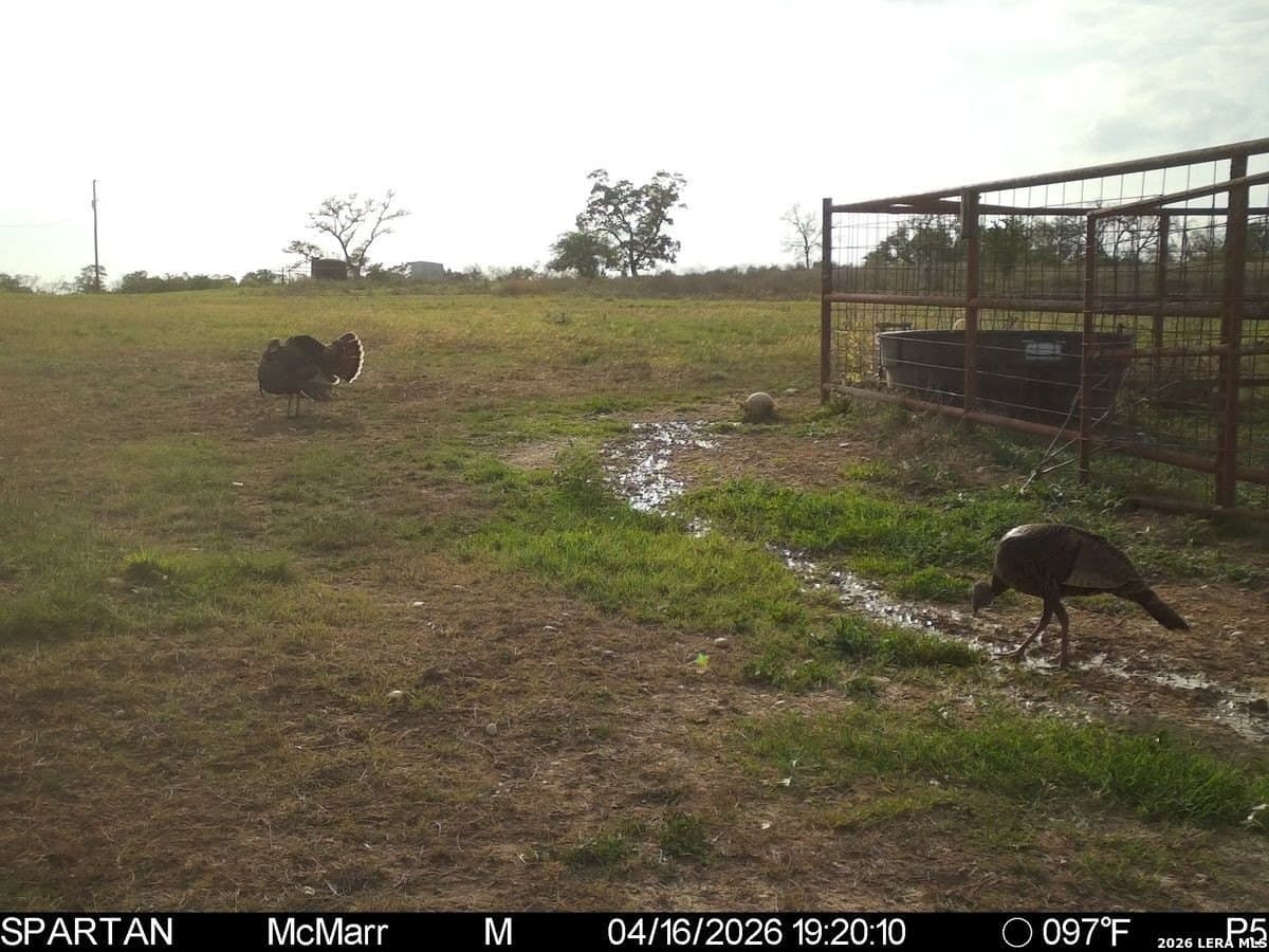 500 acres in Kendall County - photo 42