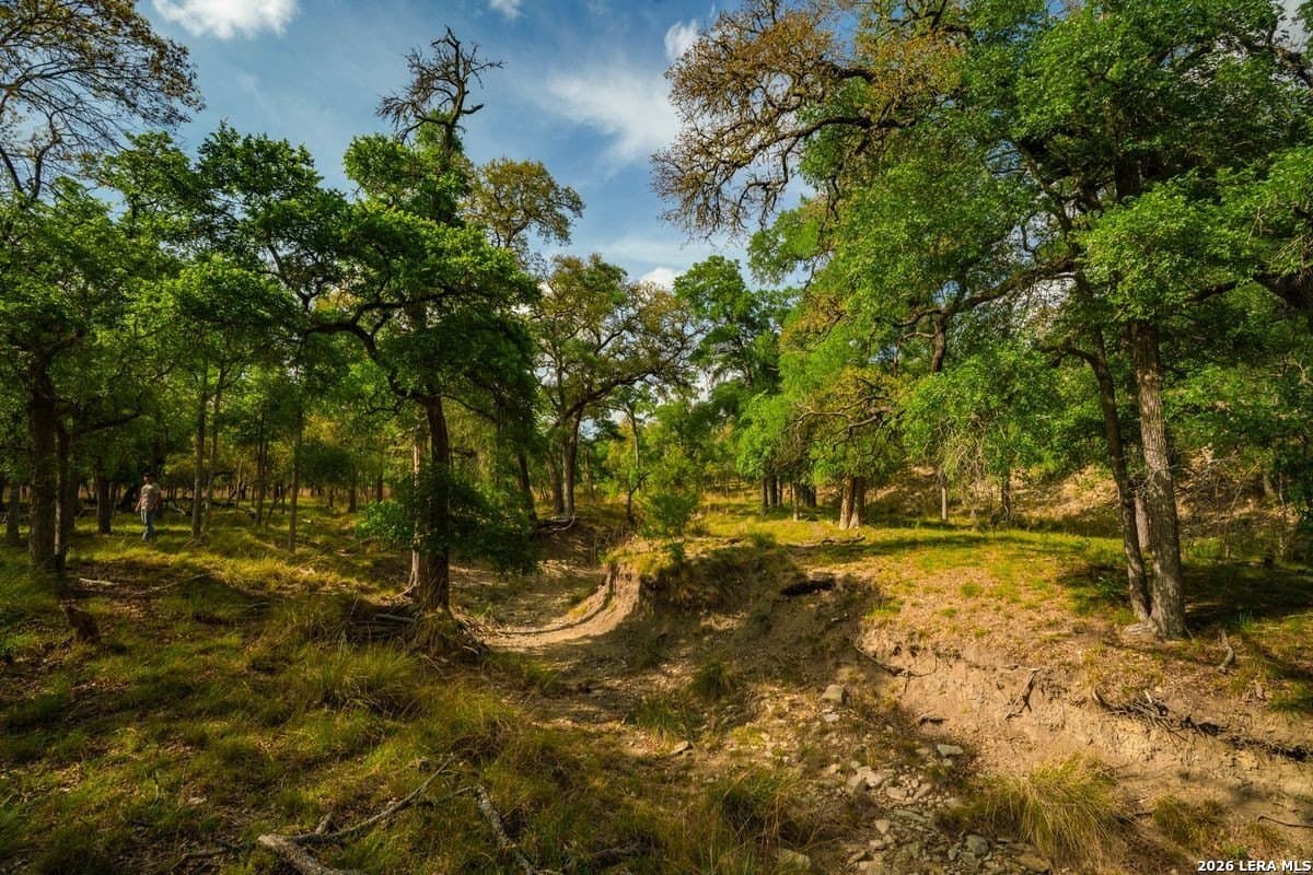 500 acres in Kendall County - photo 17