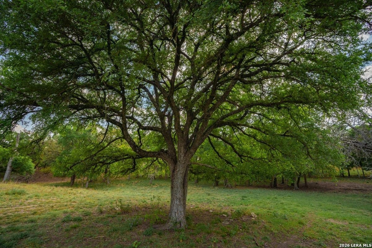 500 acres in Kendall County - photo 20
