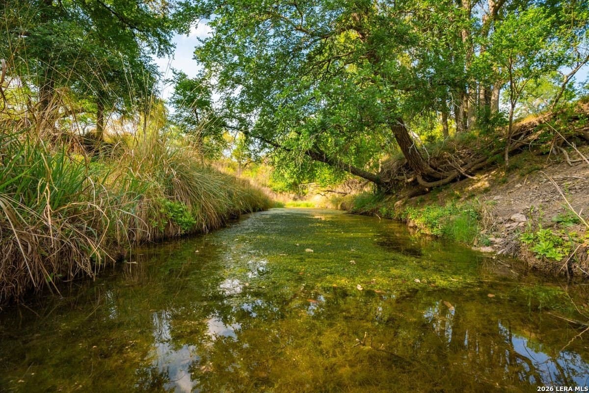 500 acres in Kendall County gallery image 2