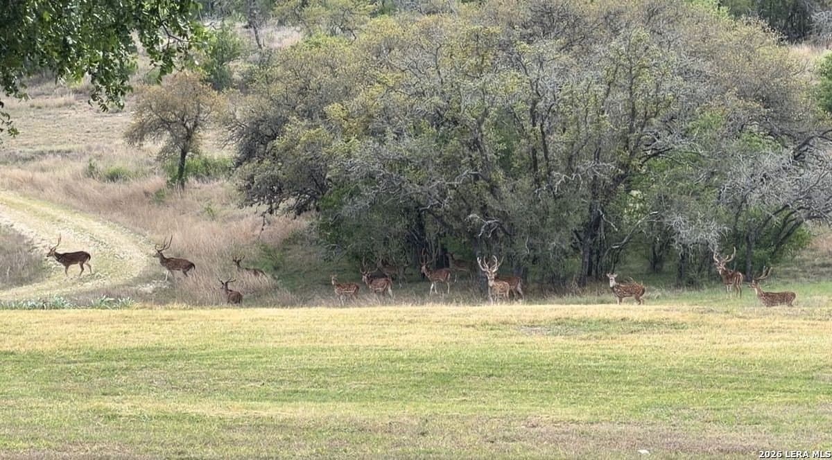 500 acres in Kendall County - photo 26