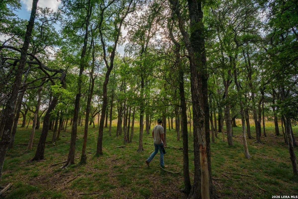 500 acres in Kendall County - photo 19