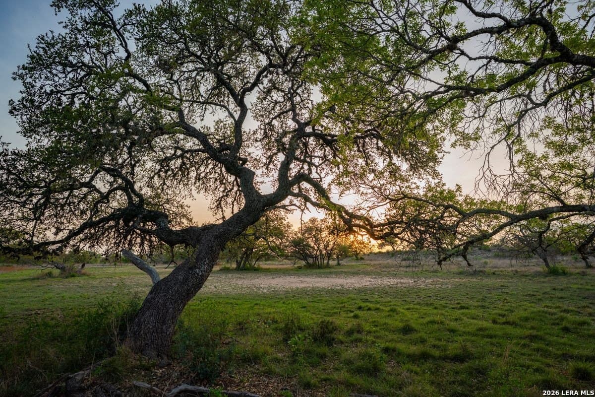 500 acres in Kendall County - photo 36