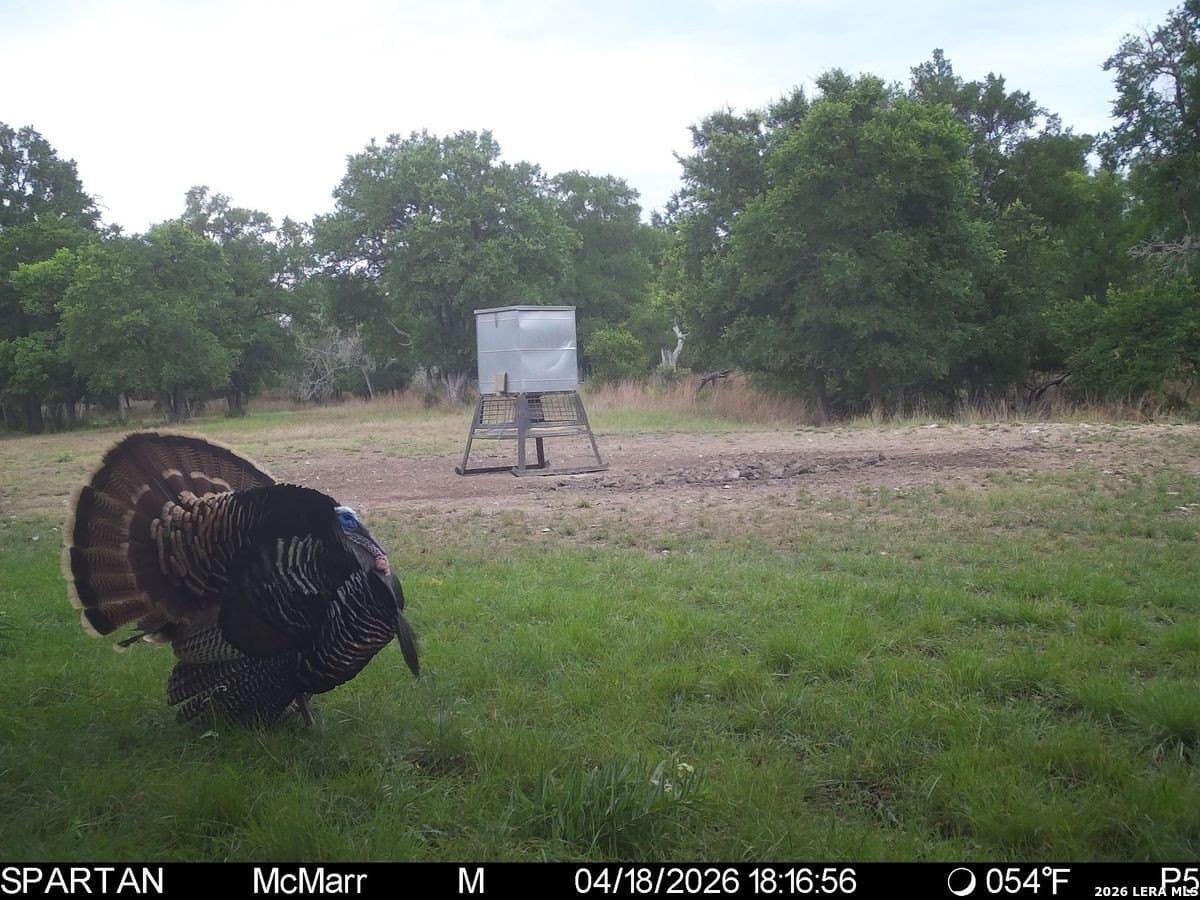 500 acres in Kendall County - photo 45