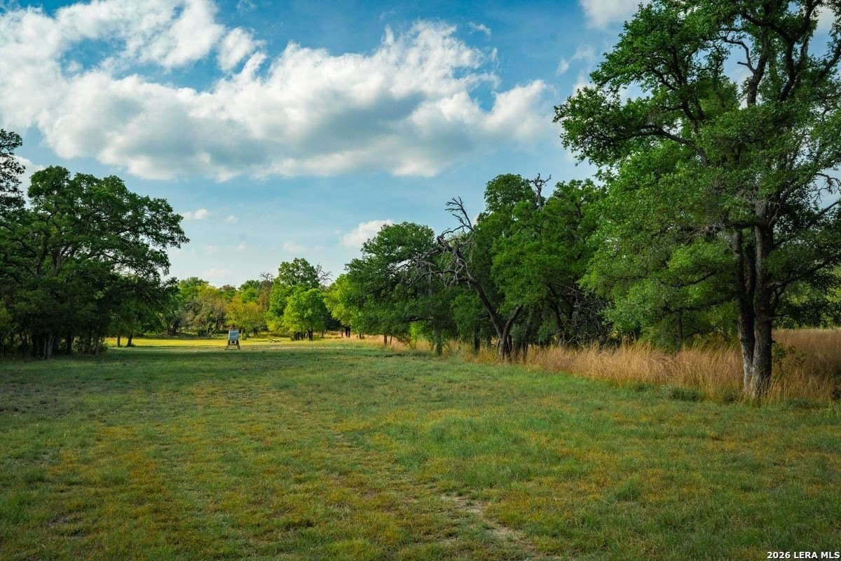 500 acres in Kendall County gallery image 3