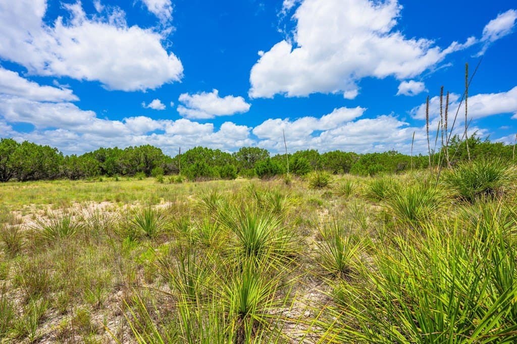 9.75 acres in Bandera County gallery image 4