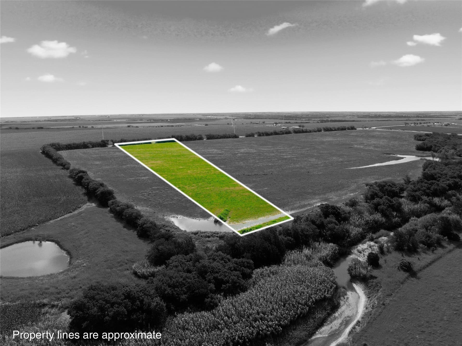 10 acres in Hill County - photo 5