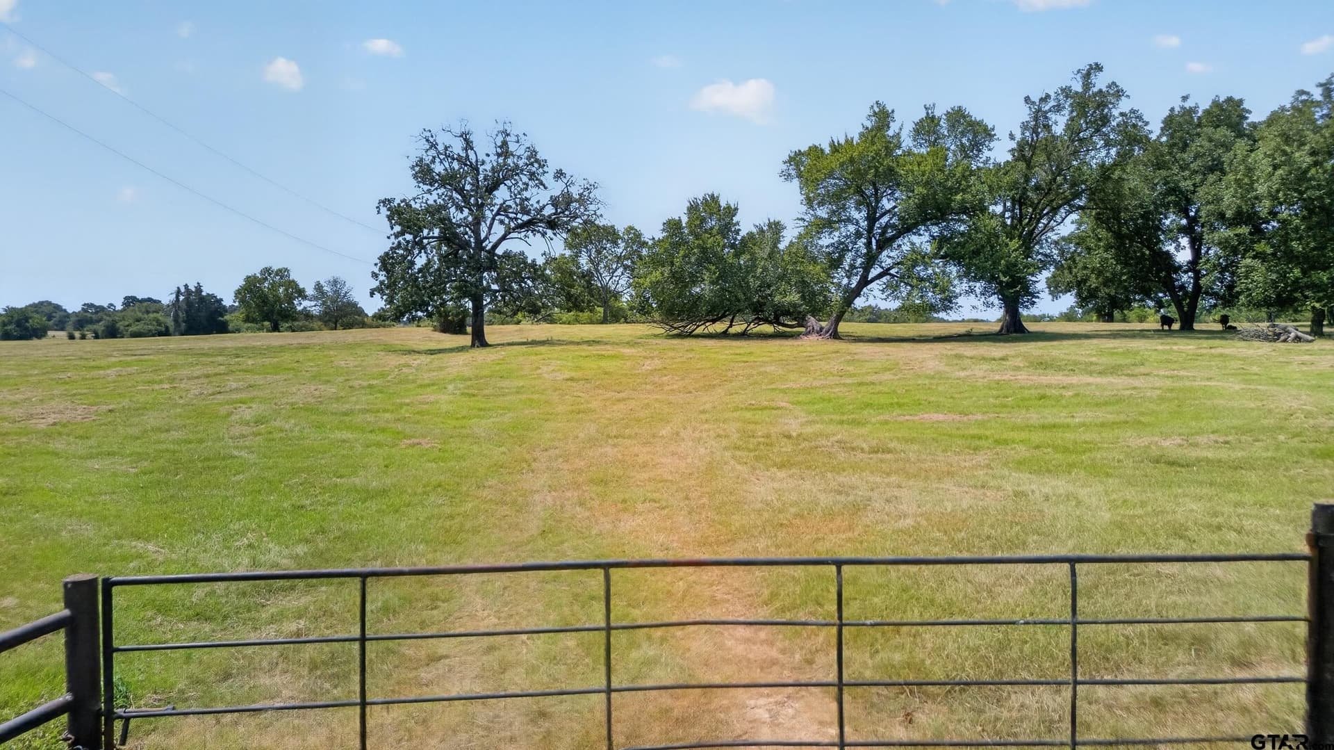 73.9 acres in Anderson County - photo 2