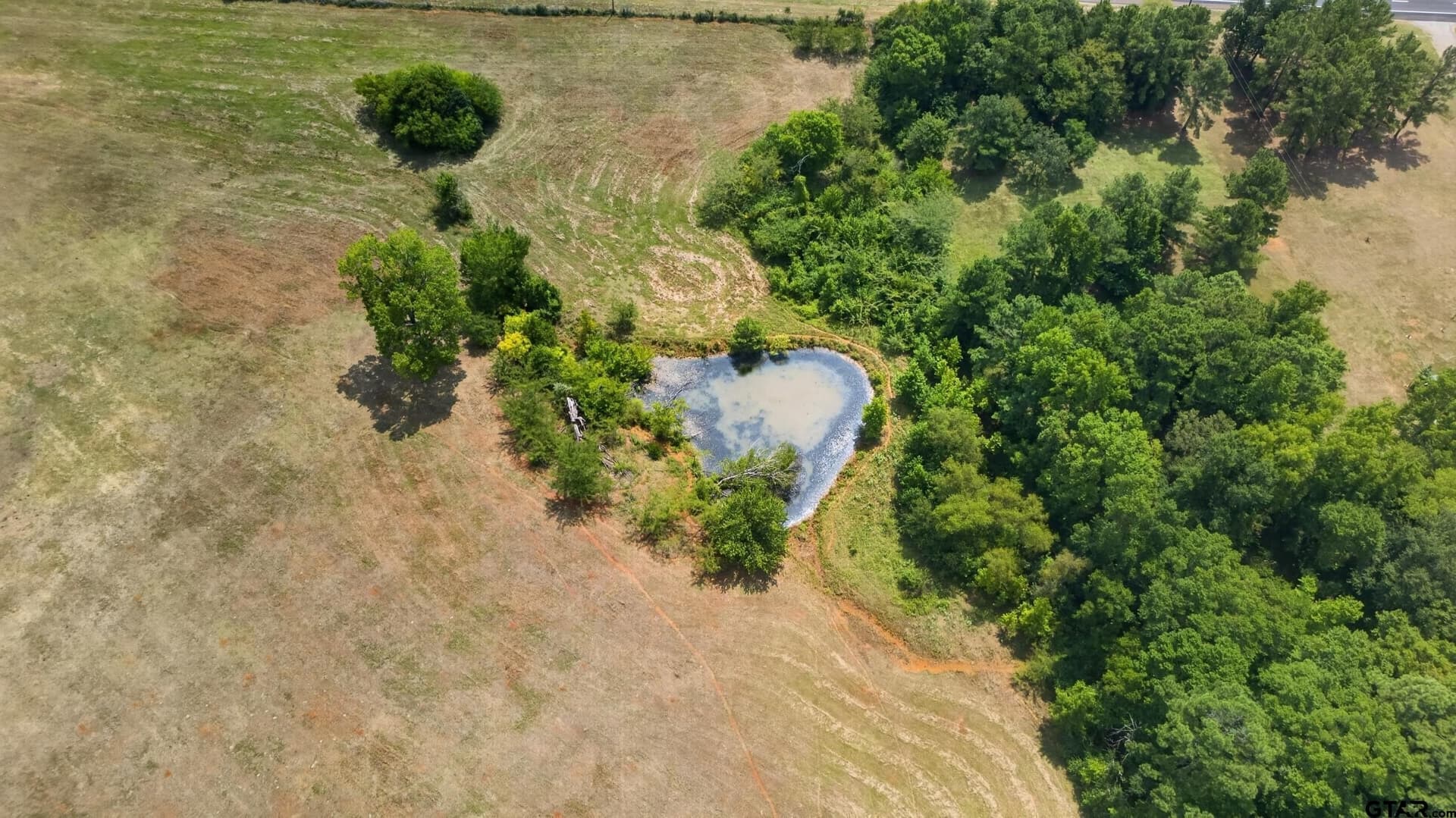 73.9 acres in Anderson County - photo 13