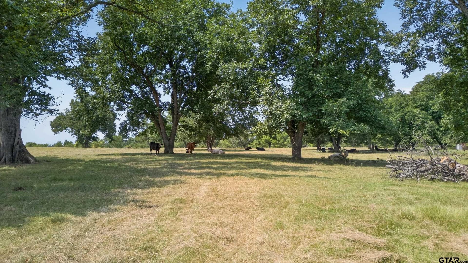 73.9 acres in Anderson County - photo 3