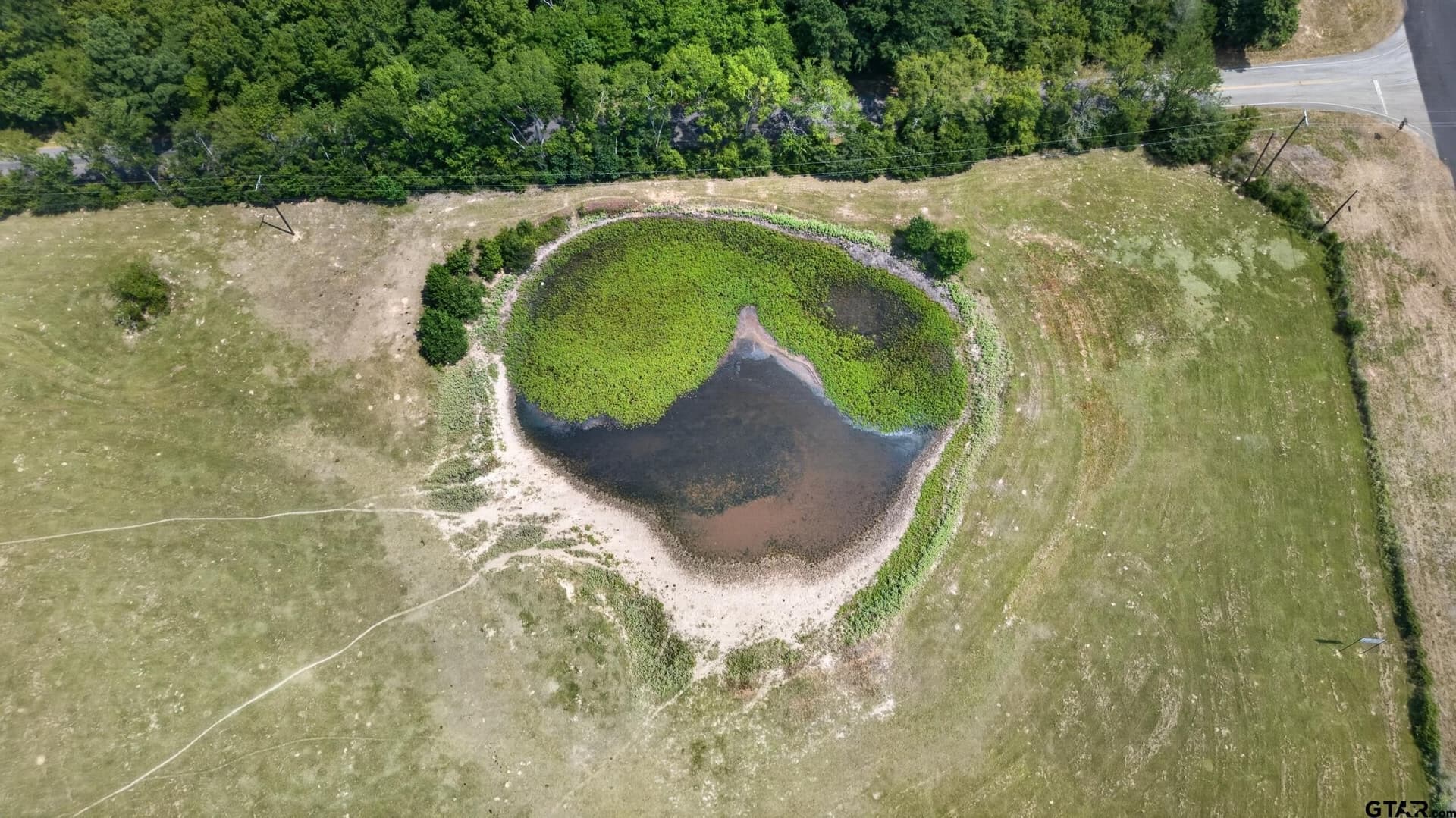 73.9 acres in Anderson County - photo 12
