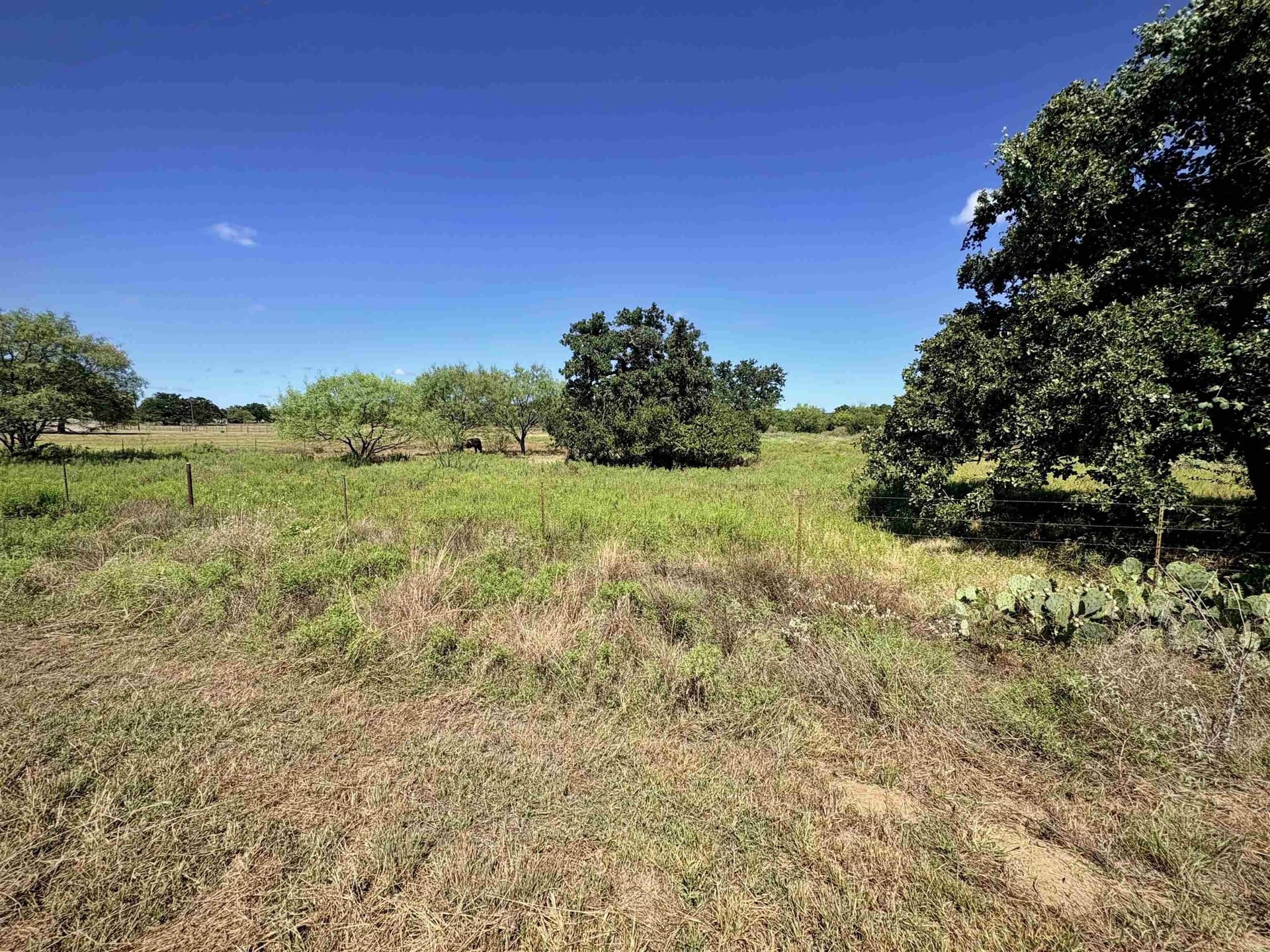 5 acres in Llano County - photo 12