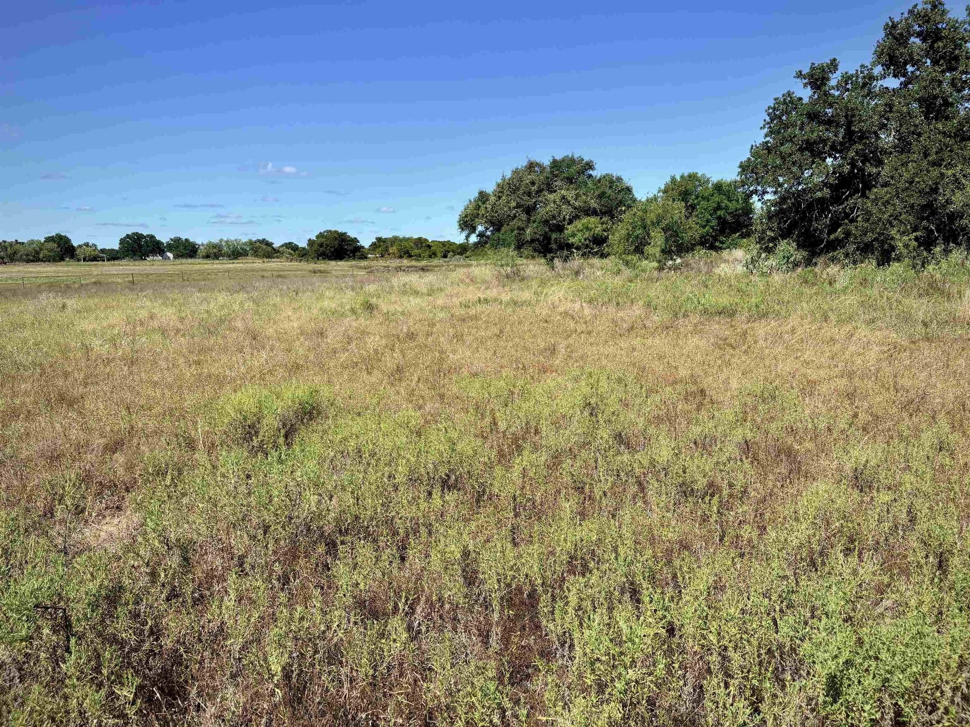 5 acres in Llano County - photo 3