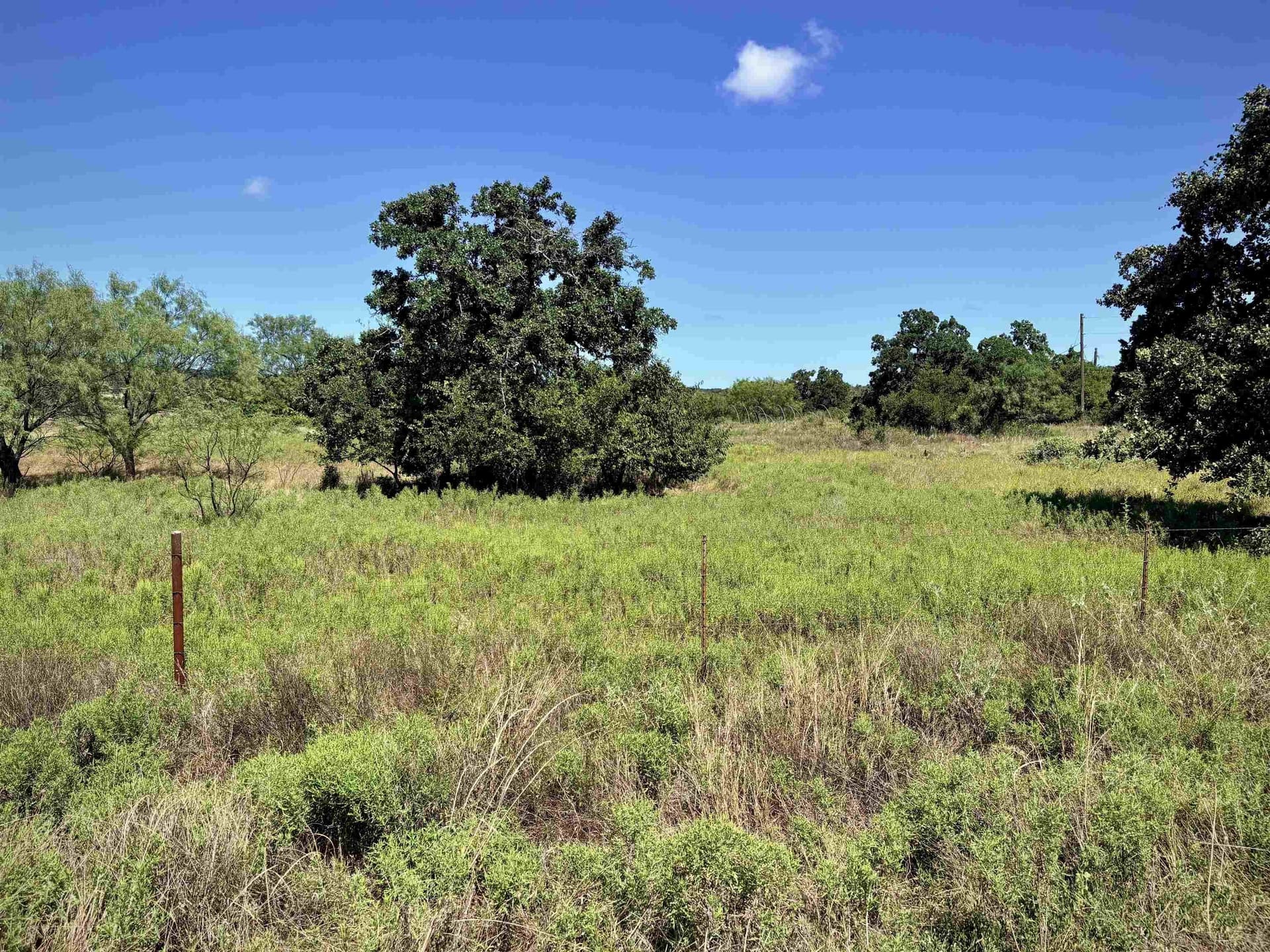 5 acres in Llano County - photo 9