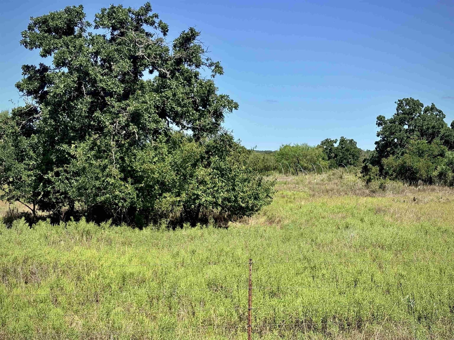 5 acres in Llano County - photo 5