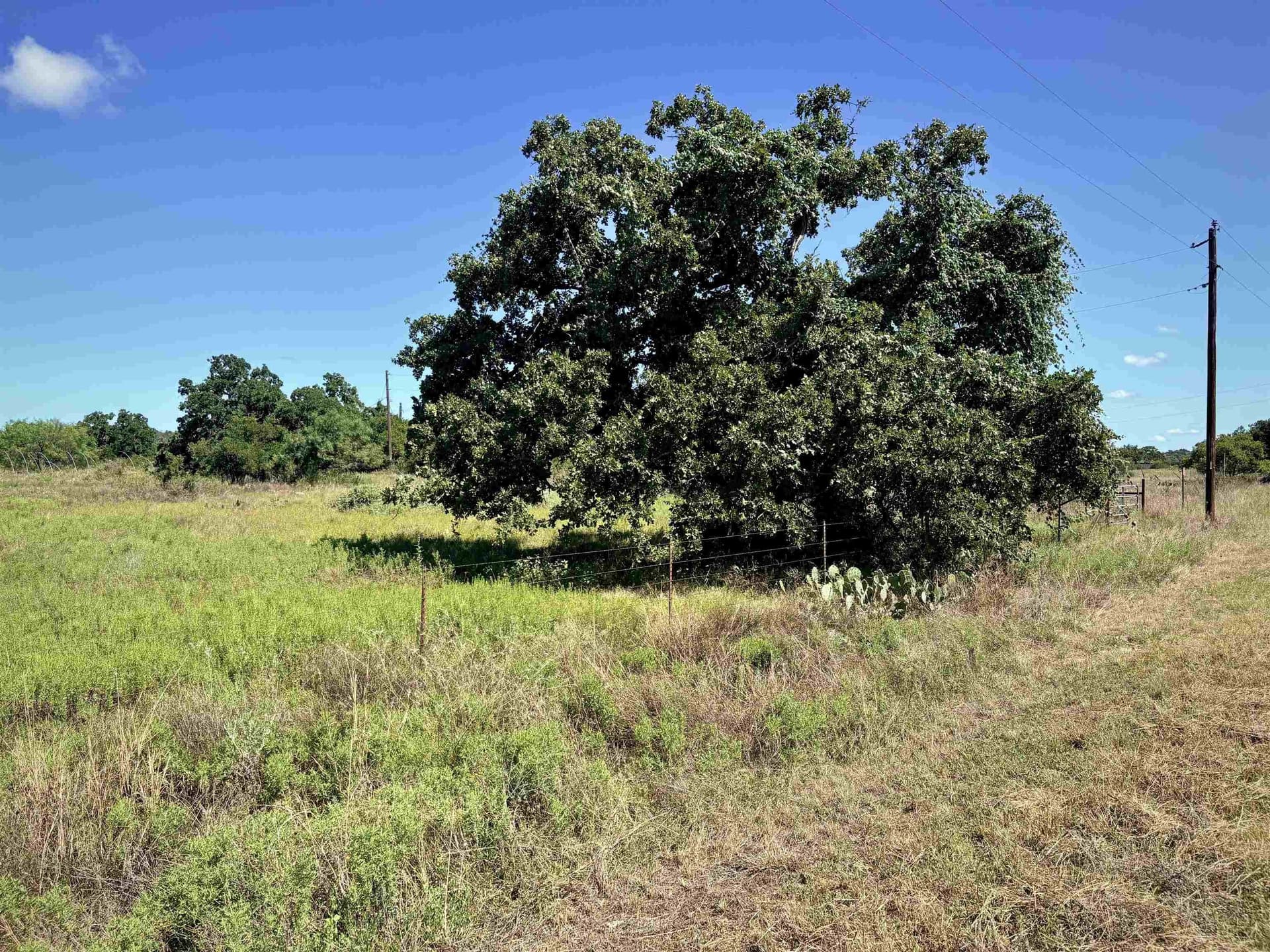 5 acres in Llano County - photo 8