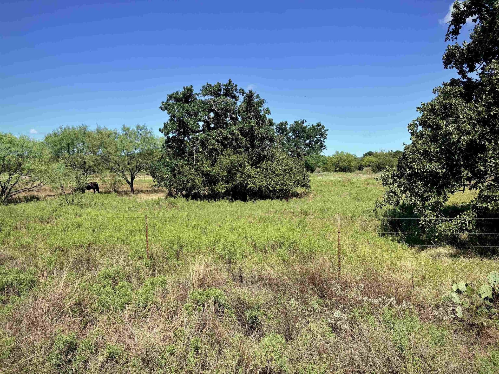5 acres in Llano County - photo 11