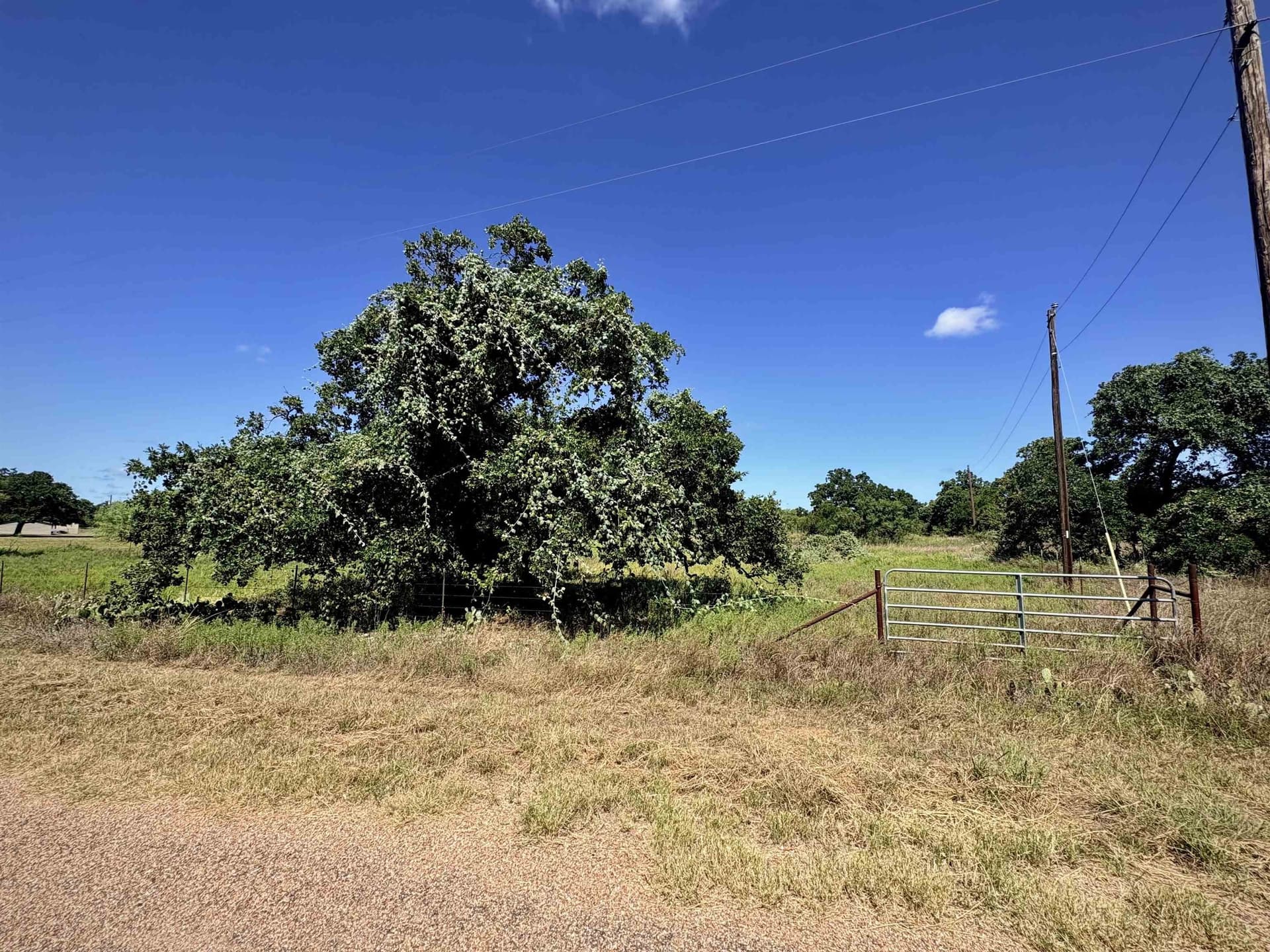 5 acres in Llano County - photo 13