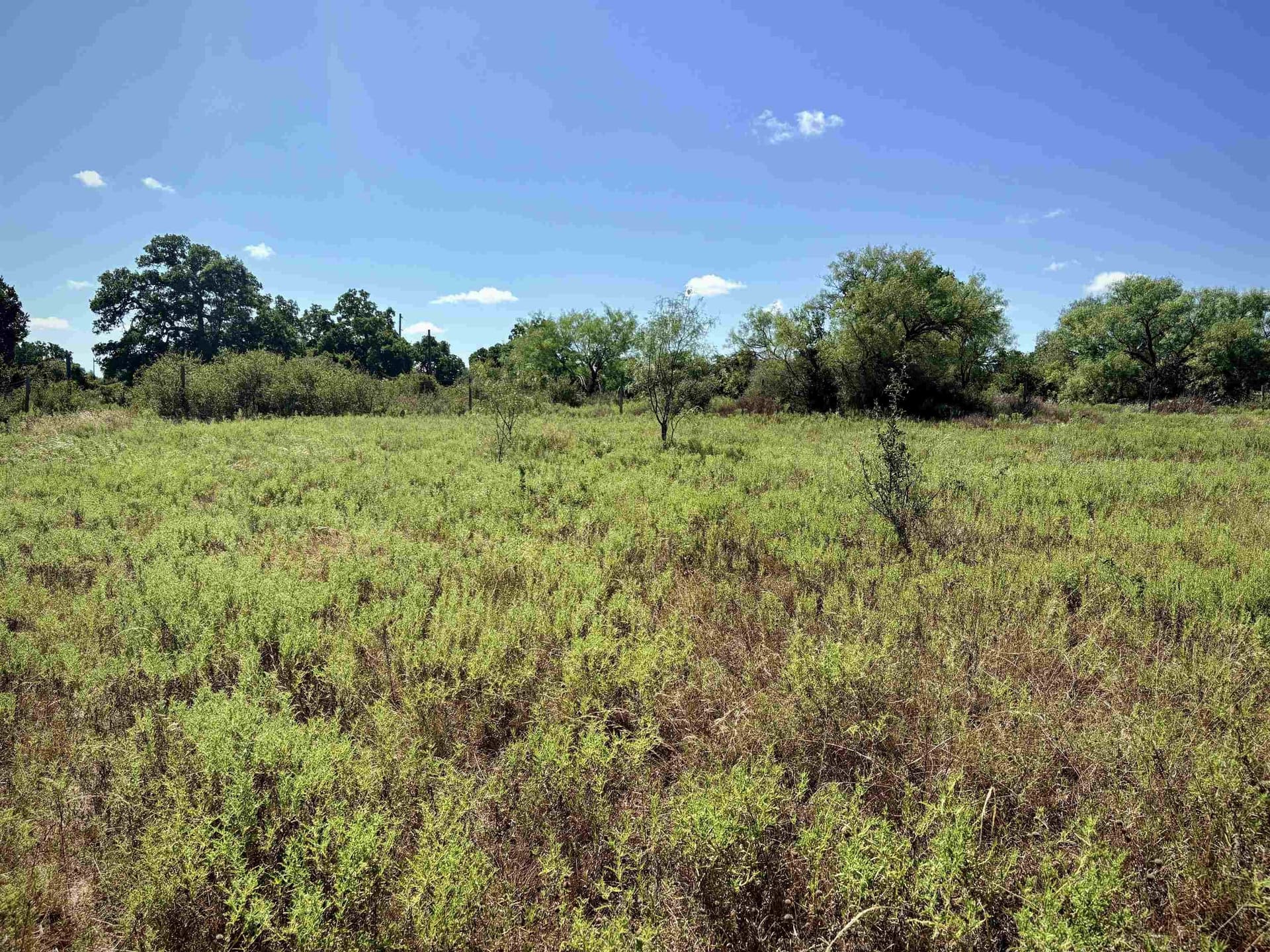 5 acres in Llano County - photo 6