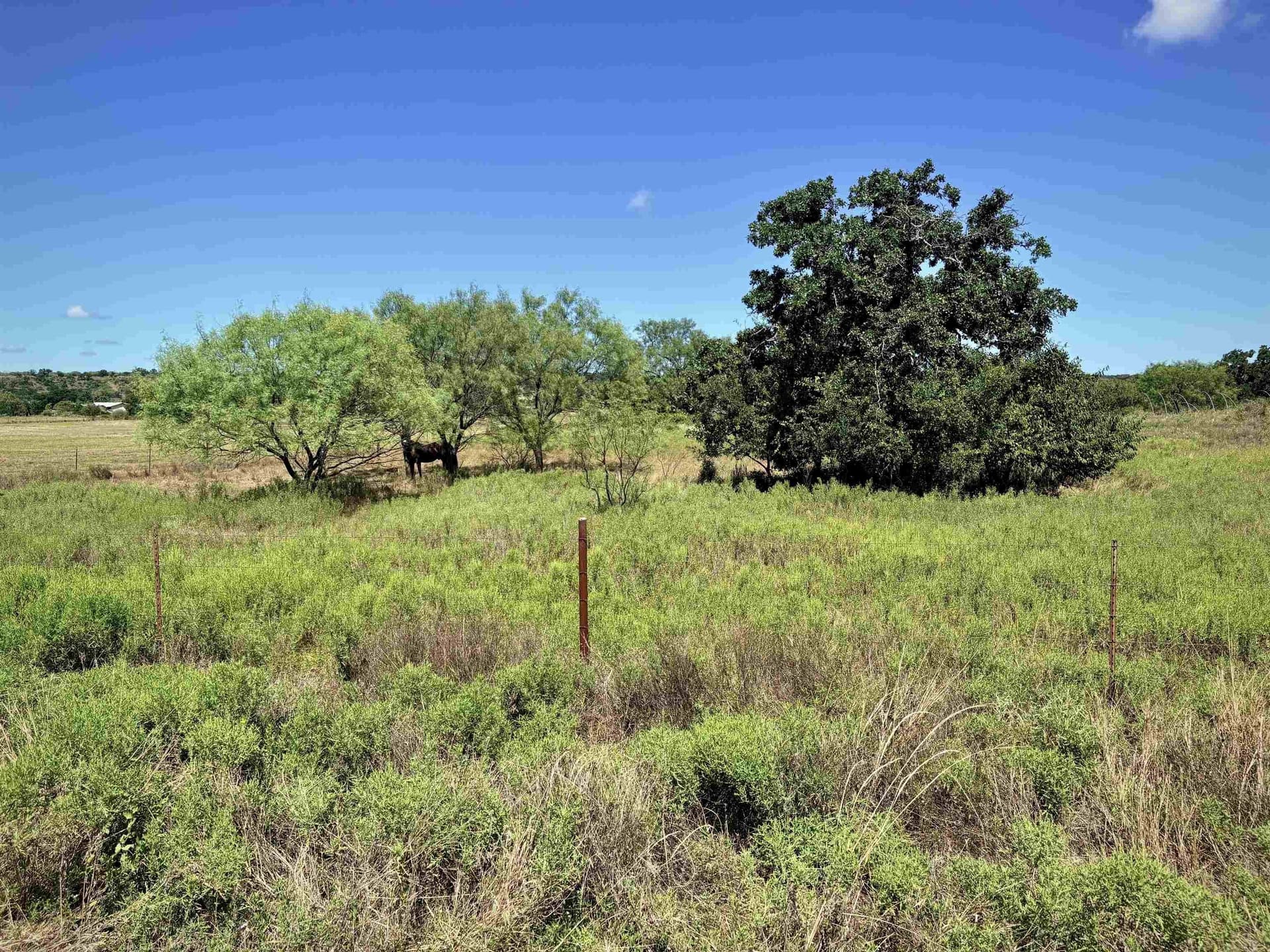 5 acres in Llano County - photo 10