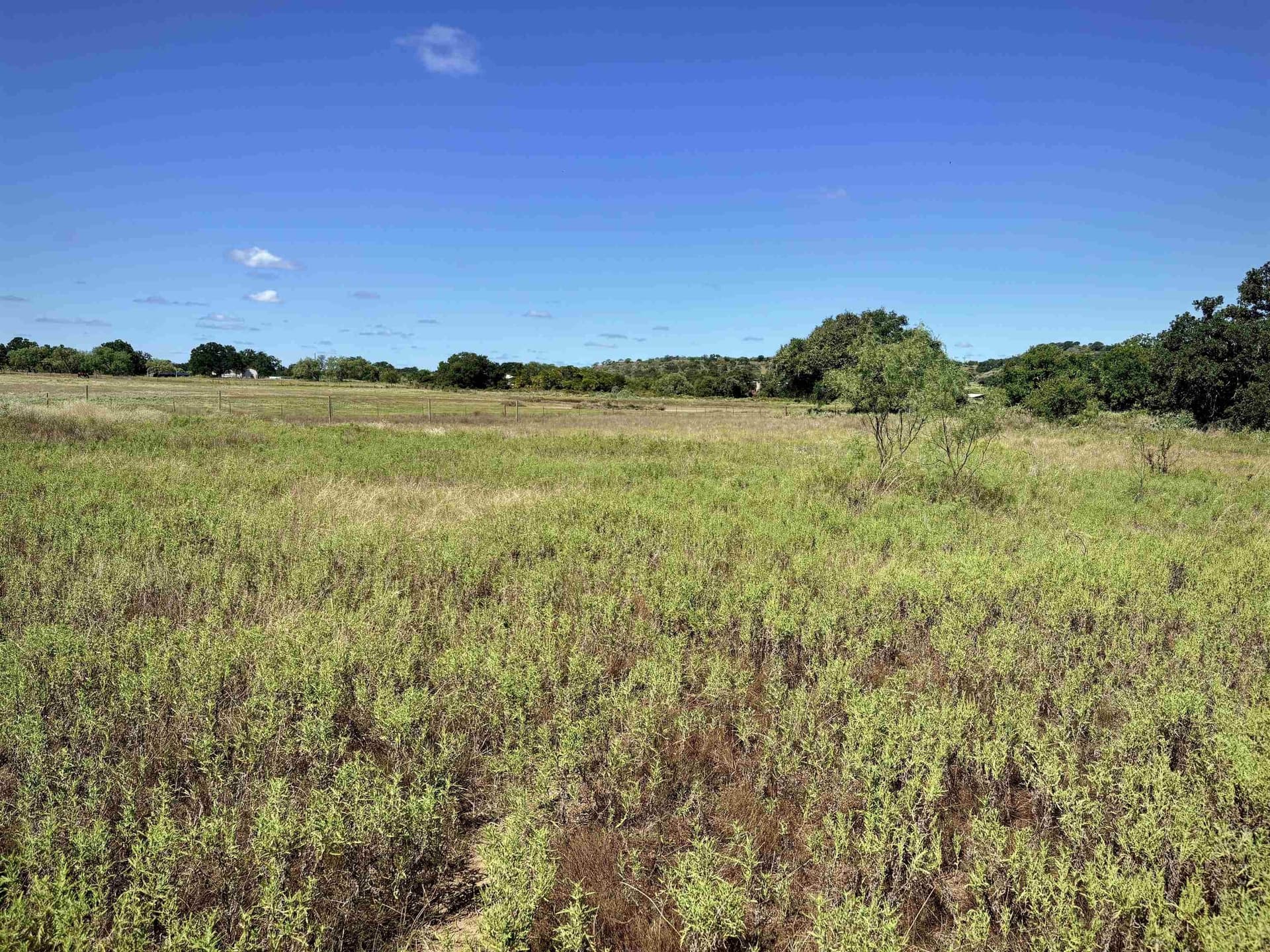 5 acres in Llano County - photo 4