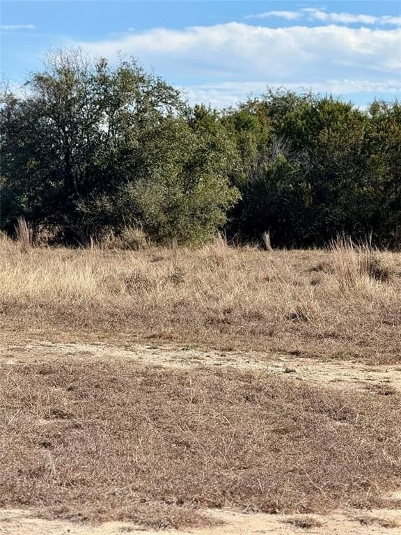 62 acres in Erath County gallery image 3