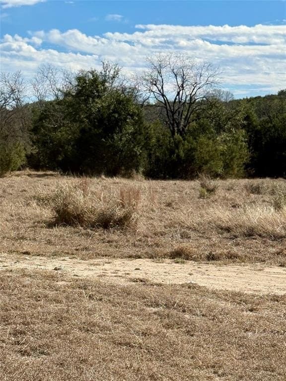 62 acres in Erath County gallery image 2