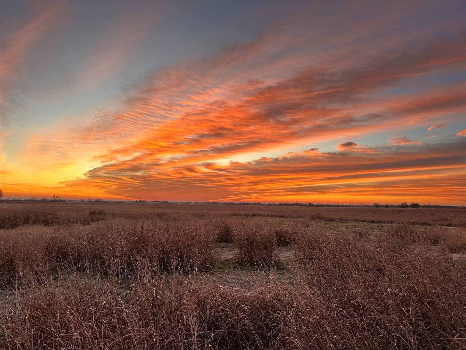 14 acres in Cooke County - photo 31