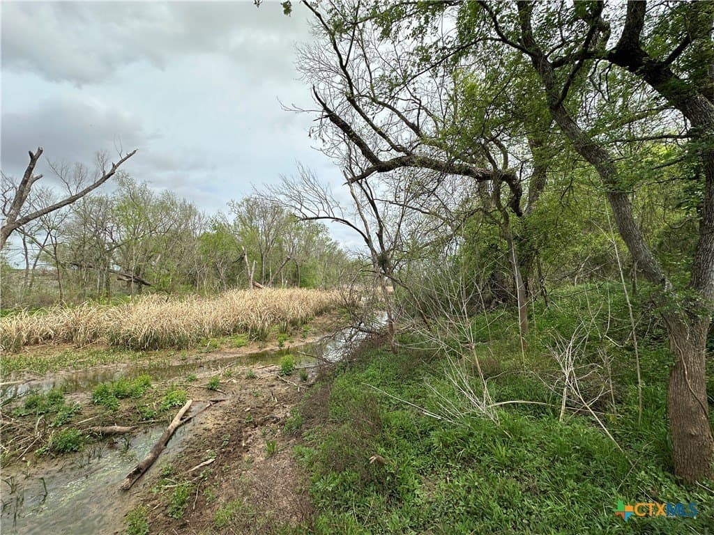 19.5 acres in Falls County - photo 6