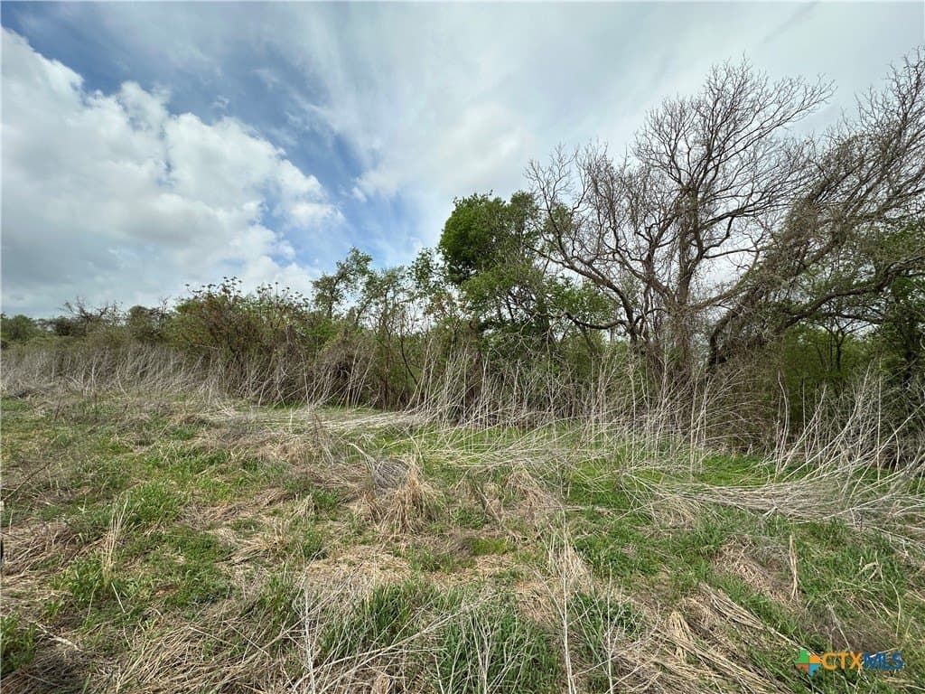 19.5 acres in Falls County - photo 15