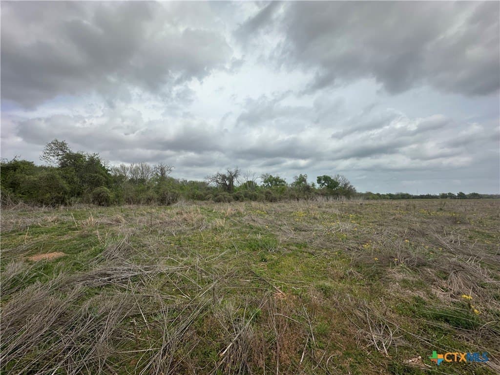 19.5 acres in Falls County - photo 16