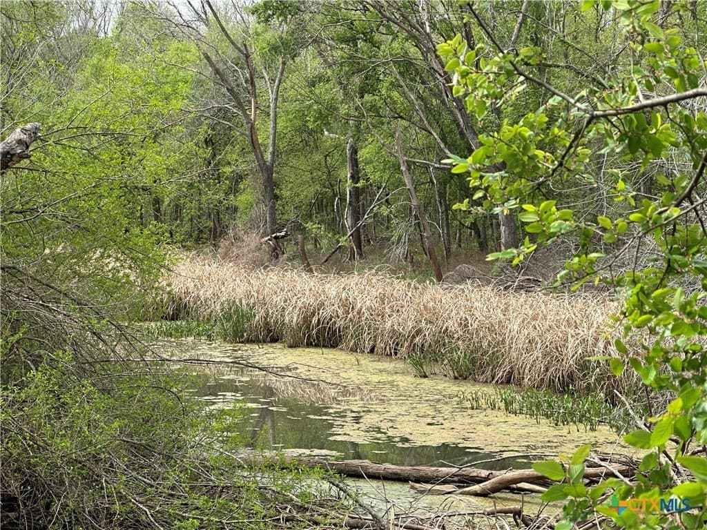 19.5 acres in Falls County gallery image 2