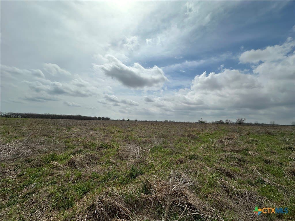 19.5 acres in Falls County - photo 14