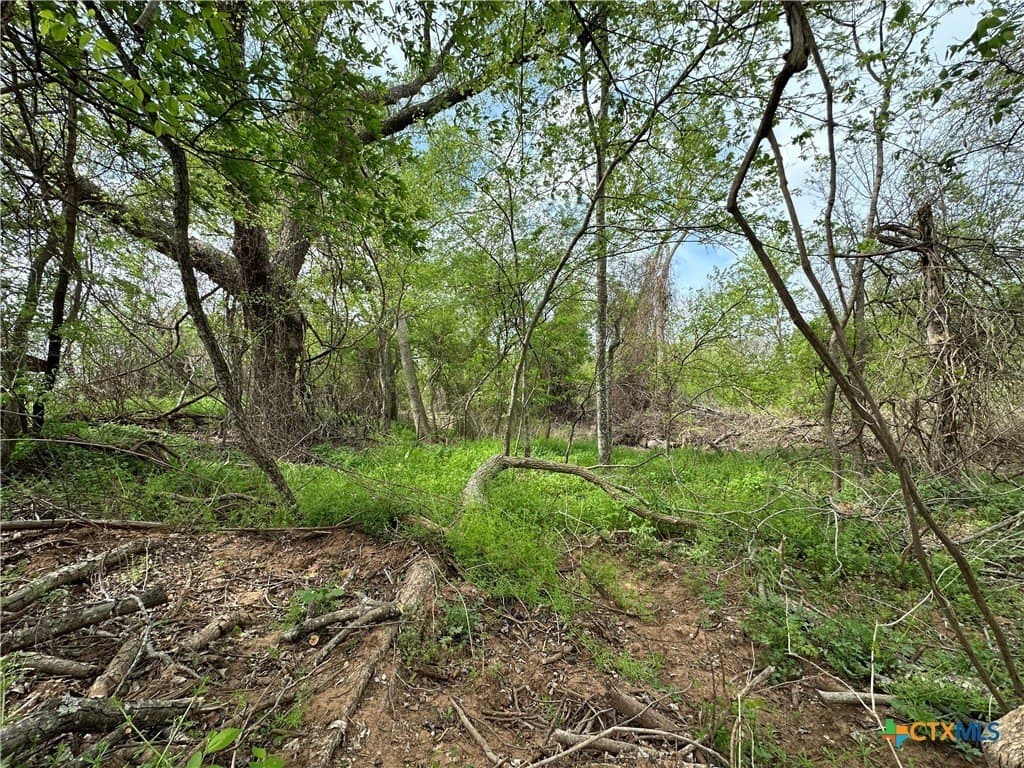 19.5 acres in Falls County gallery image 4