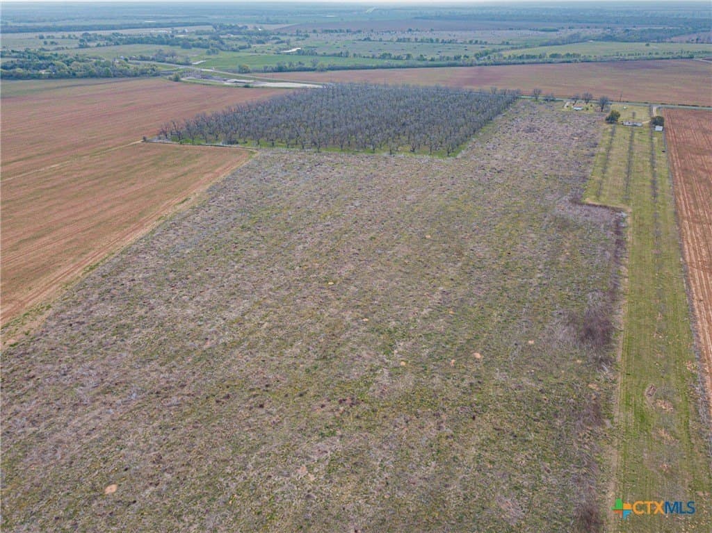 19.5 acres in Falls County - photo 7