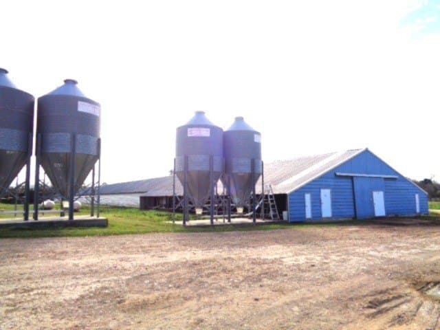 60 acres in Upshur County - photo 7