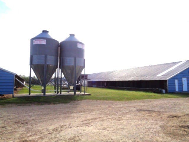 60 acres in Upshur County - photo 4
