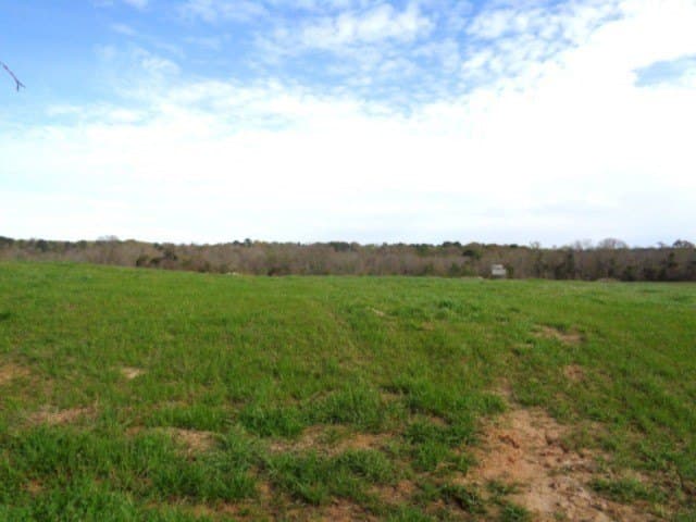 60 acres in Upshur County - photo 8