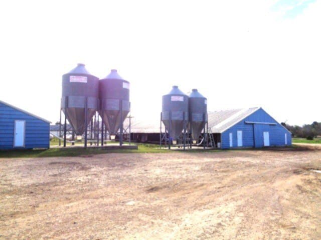 60 acres in Upshur County - photo 6