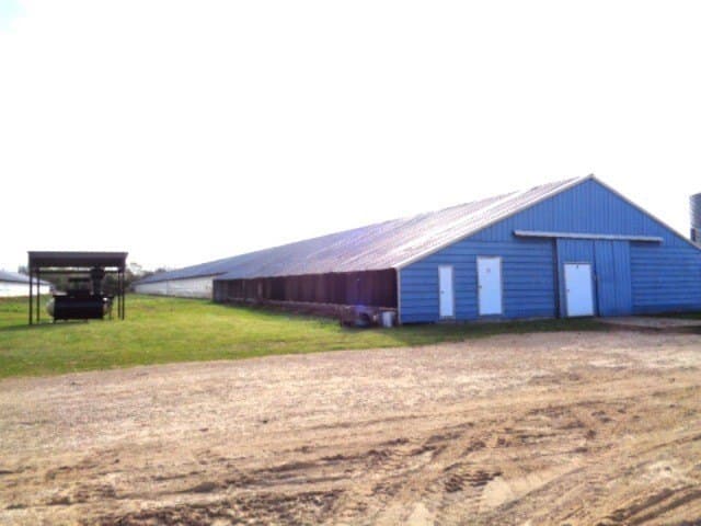 60 acres in Upshur County - photo 5