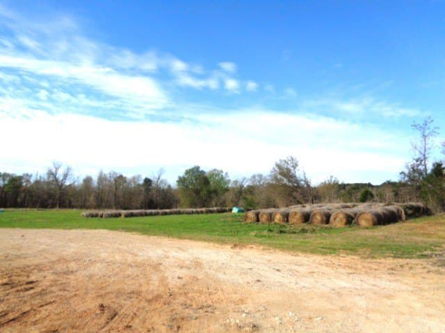 60 acres in Upshur County - photo 9
