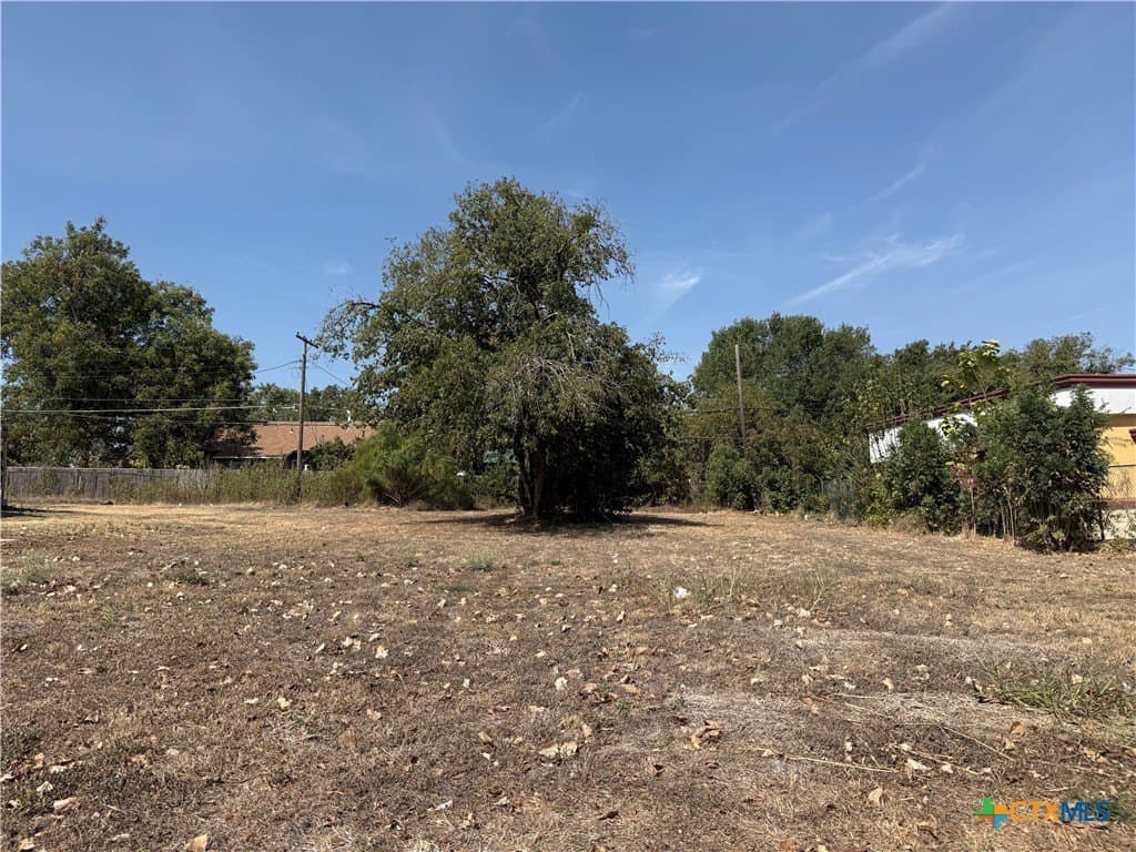 0.19 acres in Bell County - photo 3