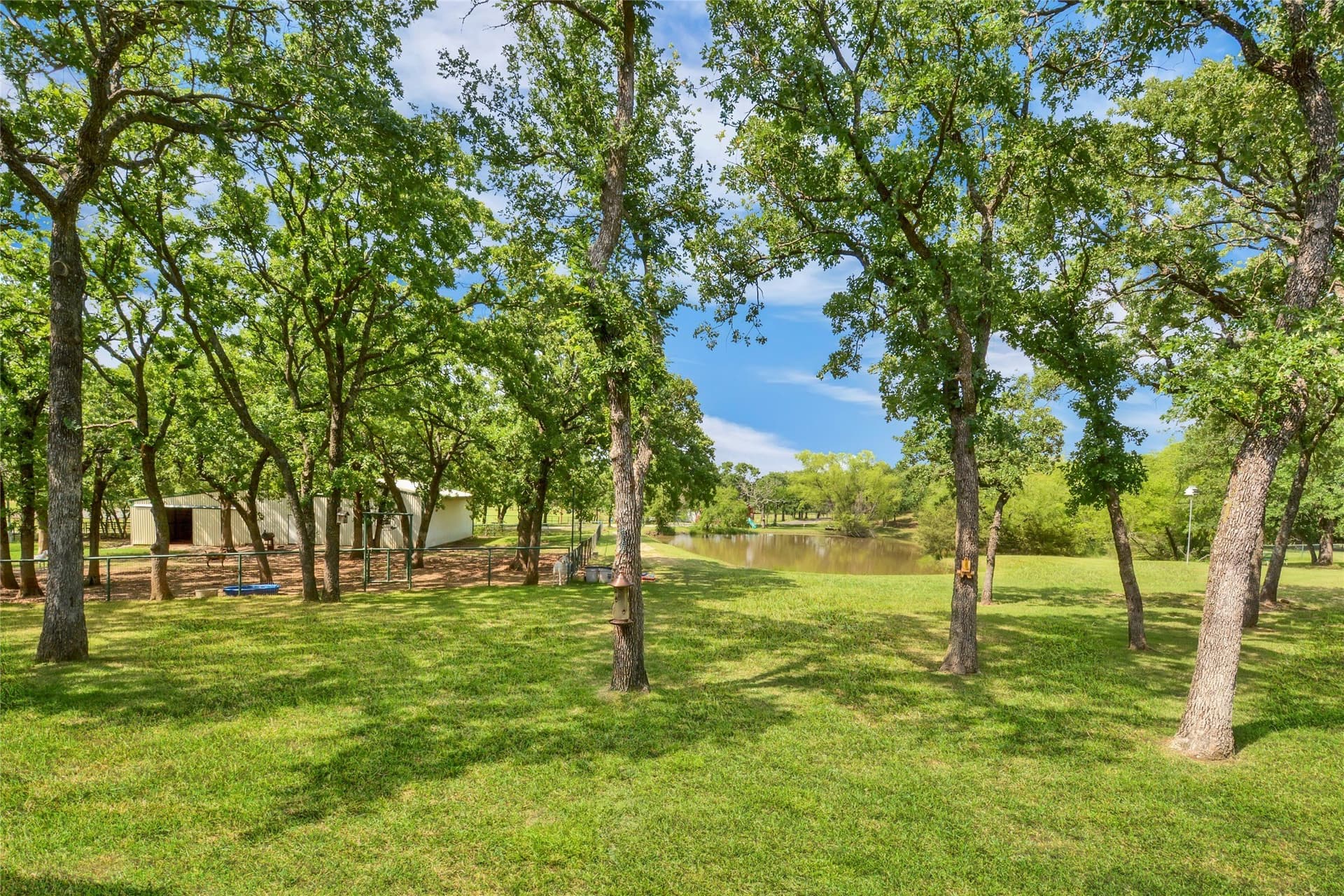 13.31 acres in Denton County gallery image 3