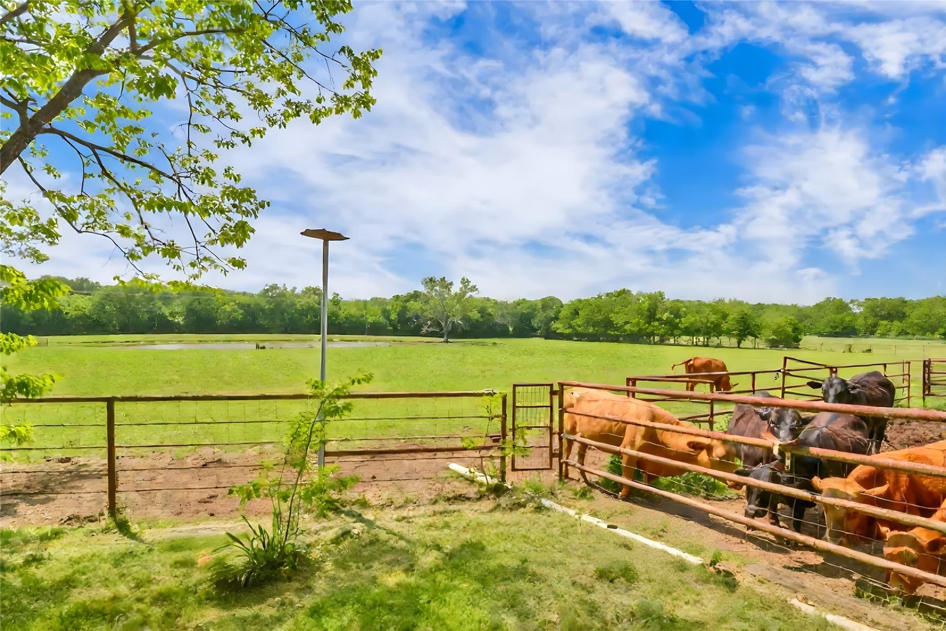 13.31 acres in Denton County - photo 26