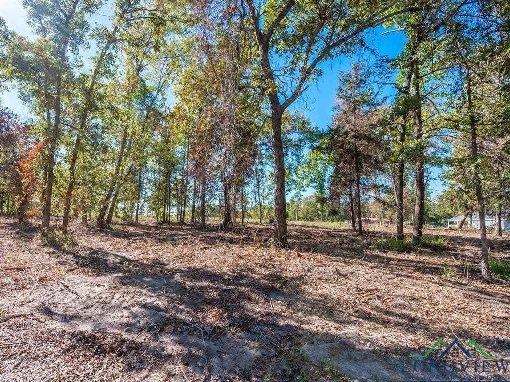 0.71 acres in Texas County gallery image 3