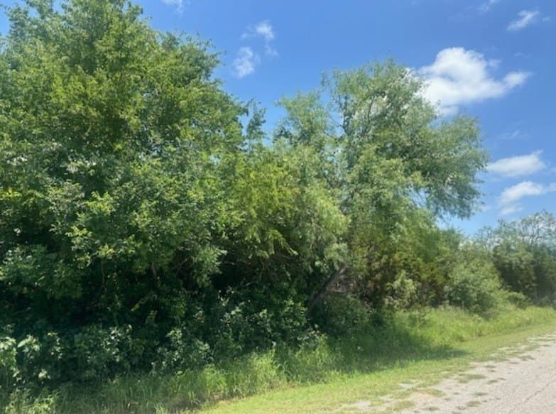0.53 acres in Hill County gallery image 2